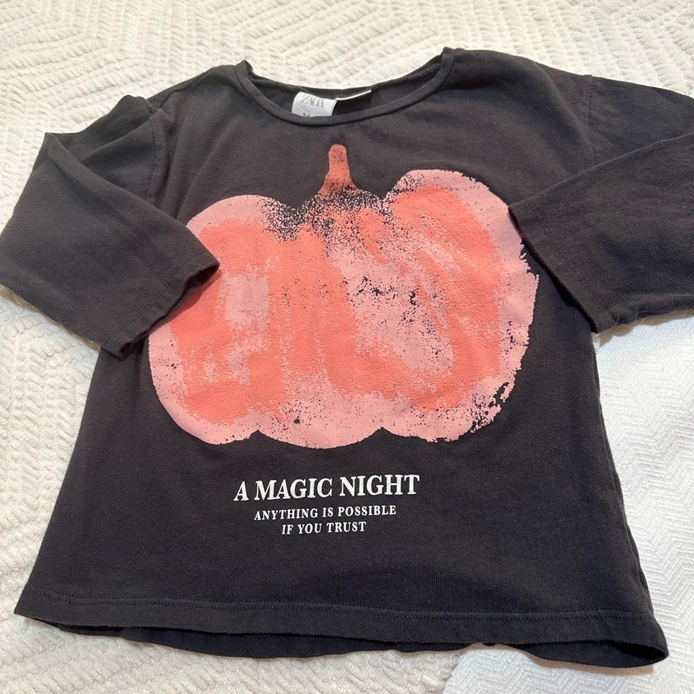 Zara Toddler Long Sleeved Top 3-4 T